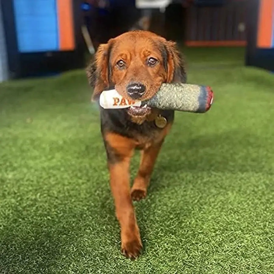 Funny Interactive Cigar Design Plush Squeaky Dog Toy For Small And Medium Dogs Dental Chew Toy