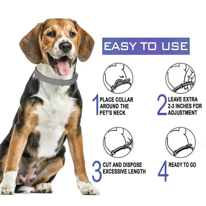 Calming pheromone collar for dogs and cats, adjustable gray collar on a beagle; easy-to-use 4-step setup guide.