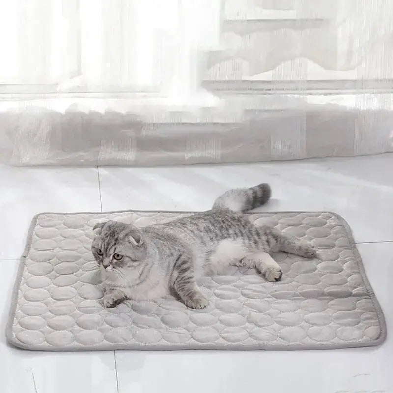 Pet Ice Cooling Mat For Summer Cats And Small Dogs Sofa Nest Bed Sleeping Pad Durable Pet Cushion Blanket