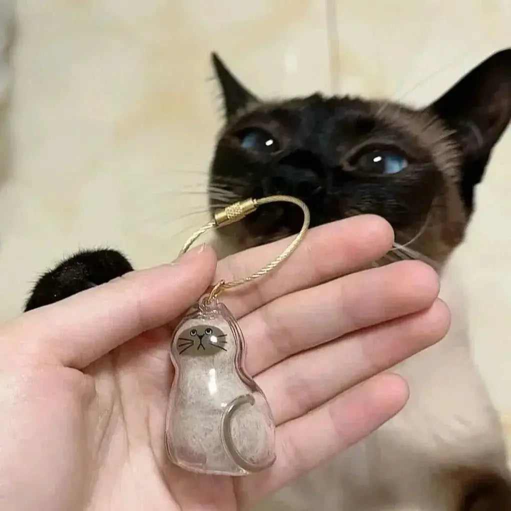 Clear Cat And Dog Hair Capsule Keychain Memorial Pendant For Pet Keepsake Do It Yourself Jewelry