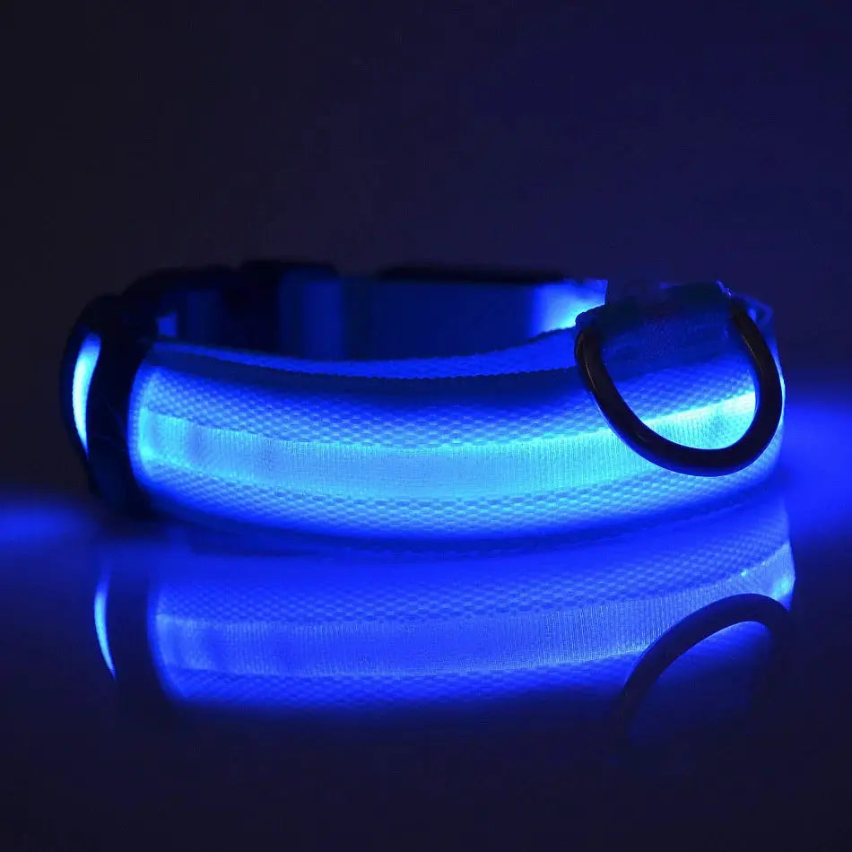 Nylon LED dog collar with blue glow and reflective band