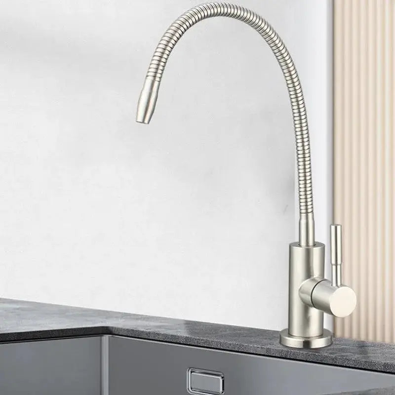 Stainless steel pull-down kitchen water filter faucet with flexible spring hose