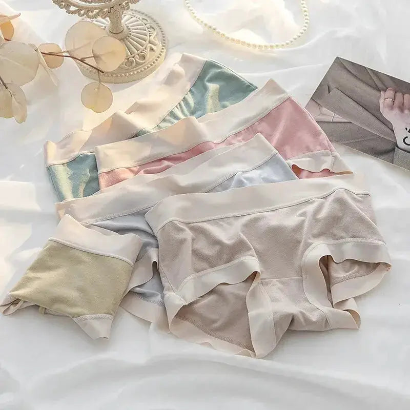 4-piece set of women's seamless modal panties in pastel colors beige, pink, mint, and blue