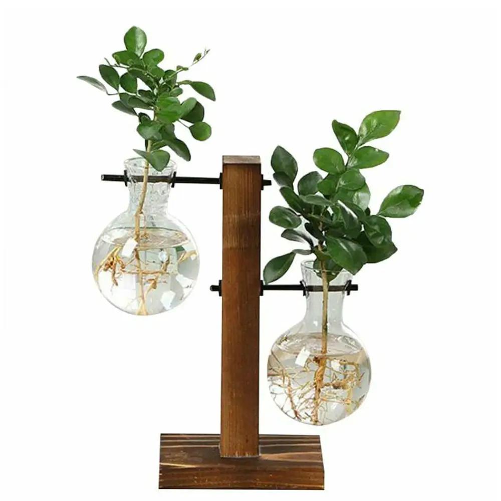 Creative glass desktop planter with dual bulb vases on a wooden stand for hydroponic tabletop decor