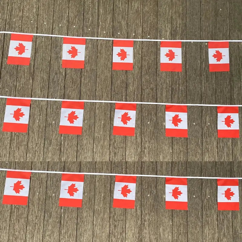 Canada Bunting Flags 20Pcs Set Pennant Banner for Parties and Holidays