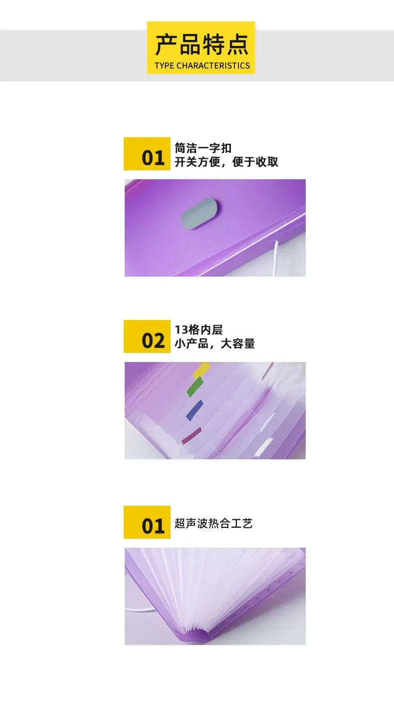 A6 expanding file folder organizer, purple with buckle snap closure for documents