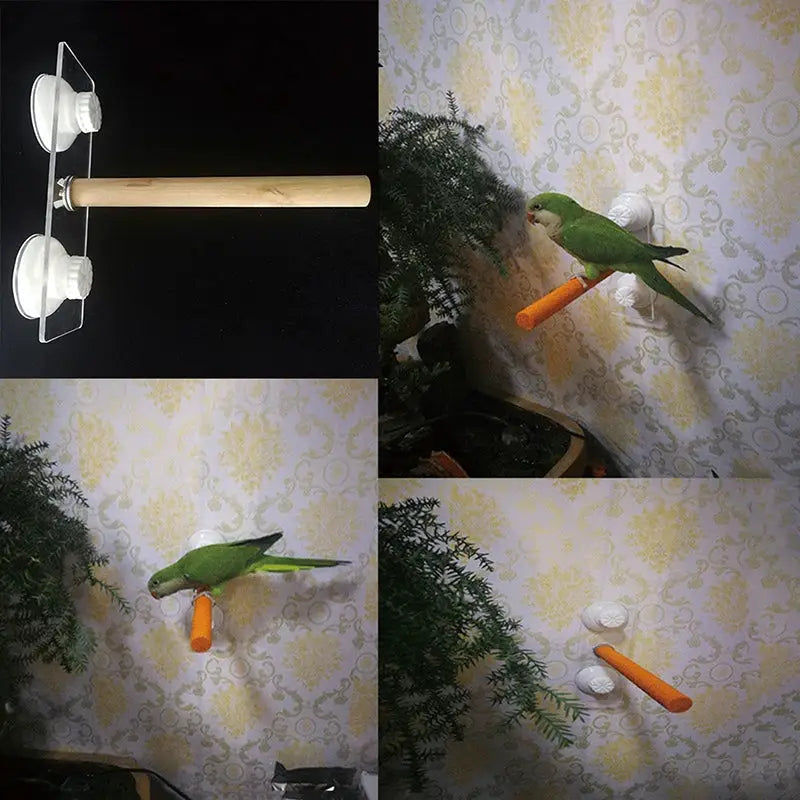 Parrot hanging wood perch stick with orange grip, mounted on wall by suction cups