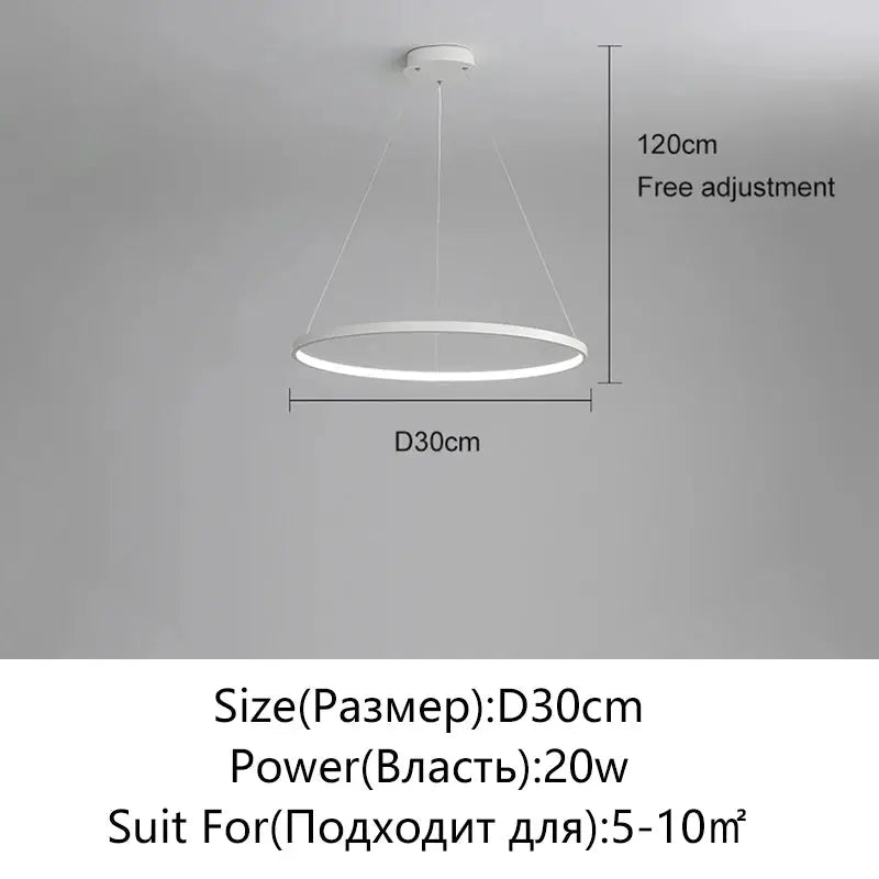 Modern round LED pendant light, white ring, 30 cm diameter with 120 cm adjustable suspension