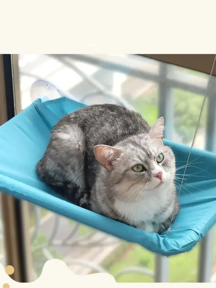 Blue hanging cat hammock bed with 20 kg capacity, cat relaxing on a sunny window seat.