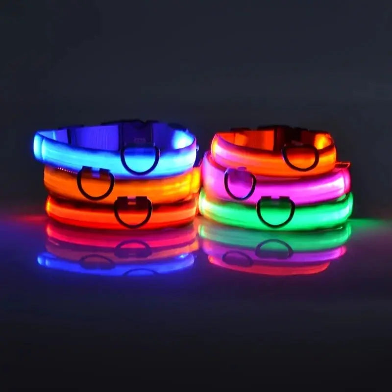 Nylon LED Night Safety Dog Leash And Collar With Flashing Glow In The Dark Luminous Fluorescent