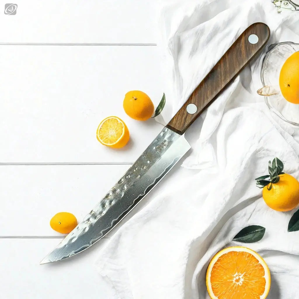 67 Ply Forged Damascus Steel Fruit Knife With Sharp Blade For Peeling And Boning Solid Wood Handle Kitchen Knife