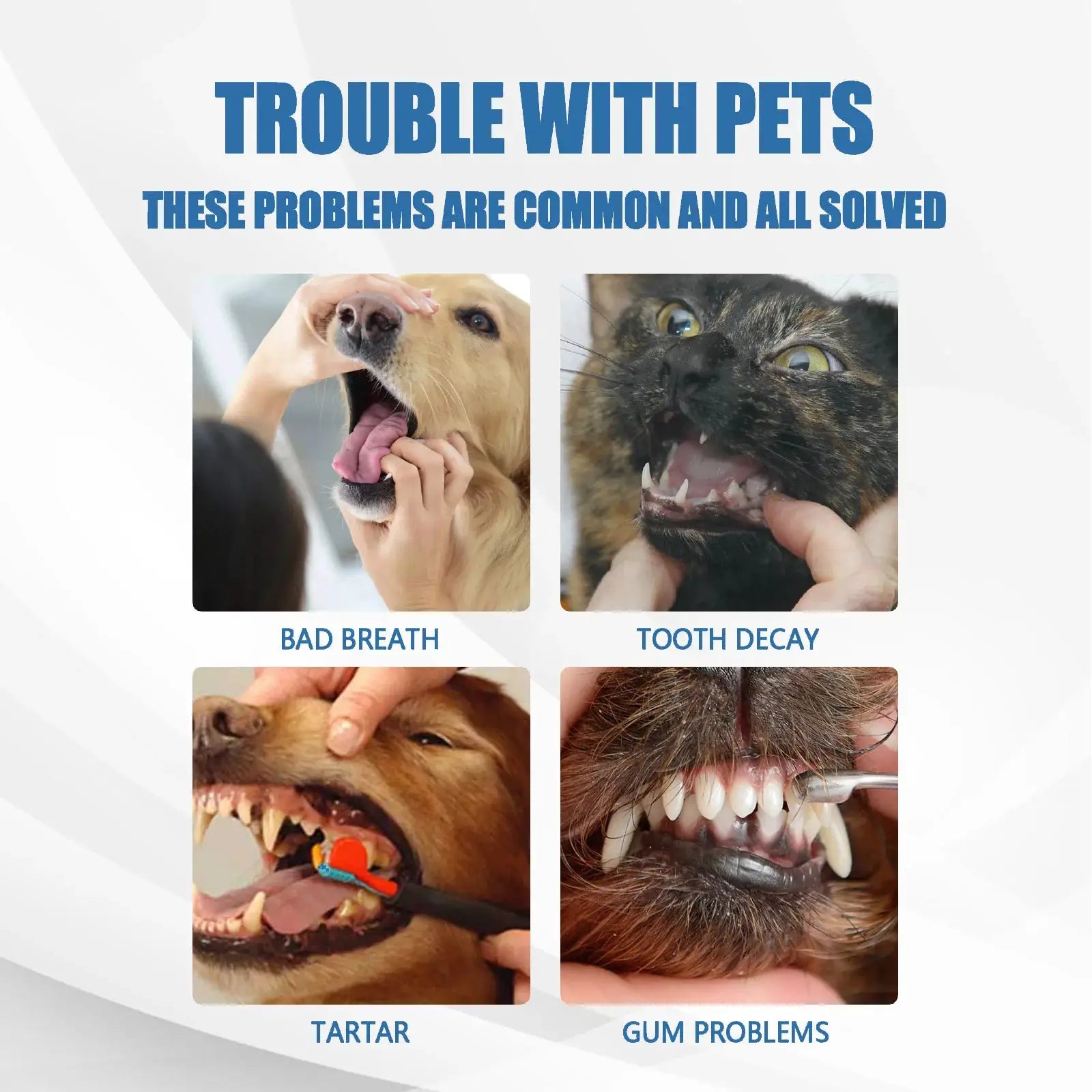 Simples Market pet mouth cleaning foam for dogs and cats; natural plant tartar remover for oral cleansing.