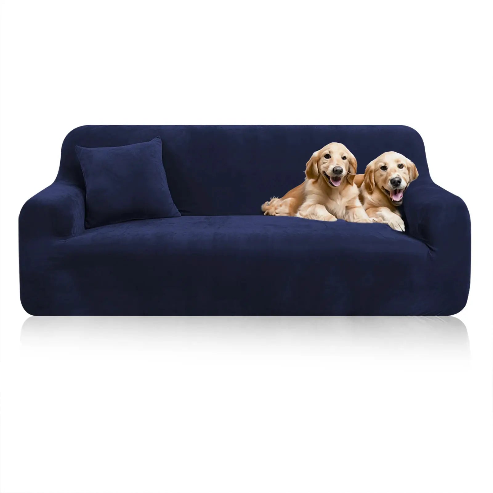 Stretch velvet sofa cover in navy on a couch with two golden retrievers; Simples Market