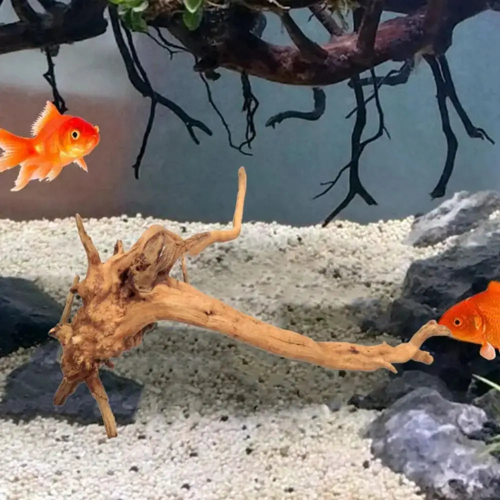 Large Driftwood Aquarium Decor Natural Fish Tank Tree And Stump Landscaping For Fish Tanks