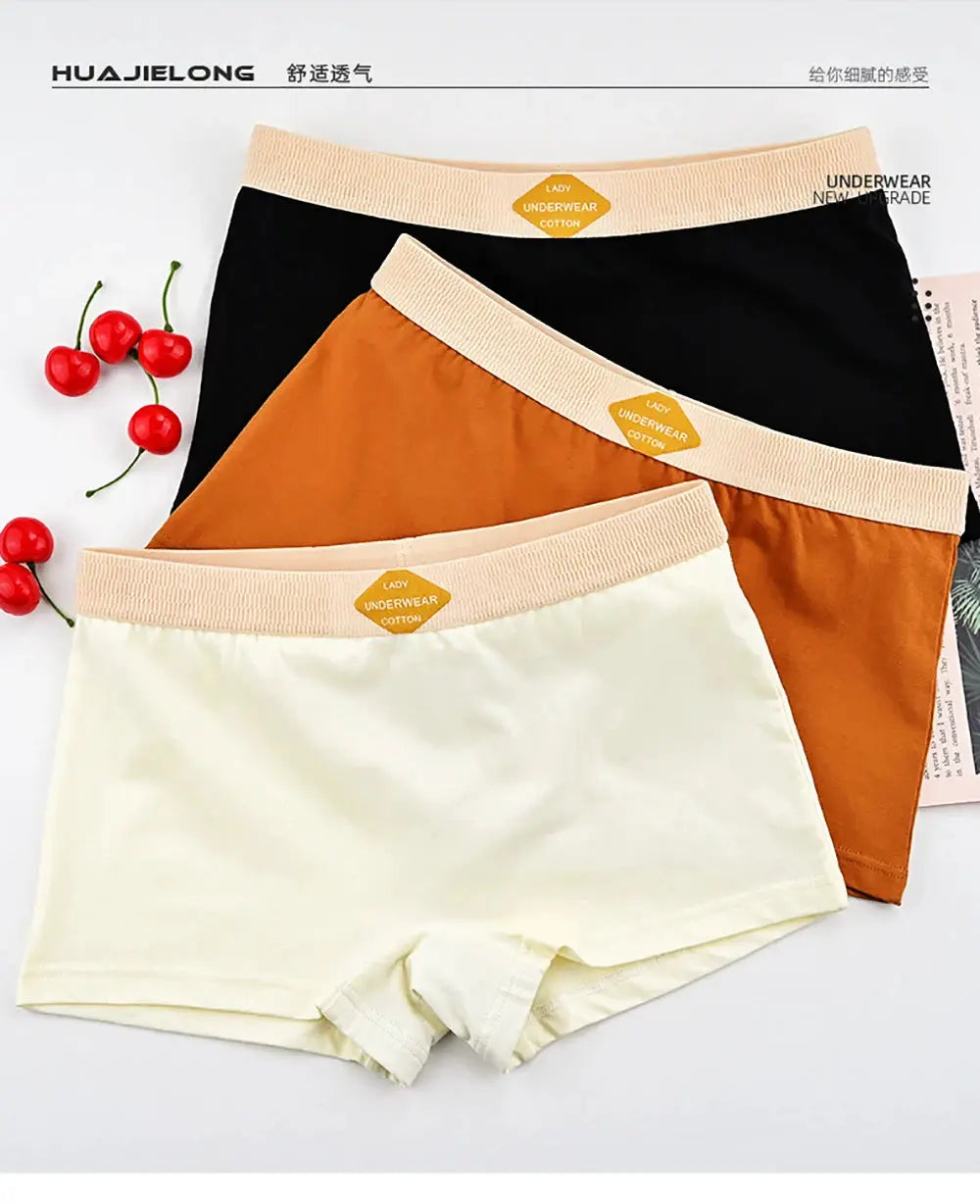 Simples Market 3-pack cotton women's boxer briefs in cream, rust, and black with beige elastic waistband