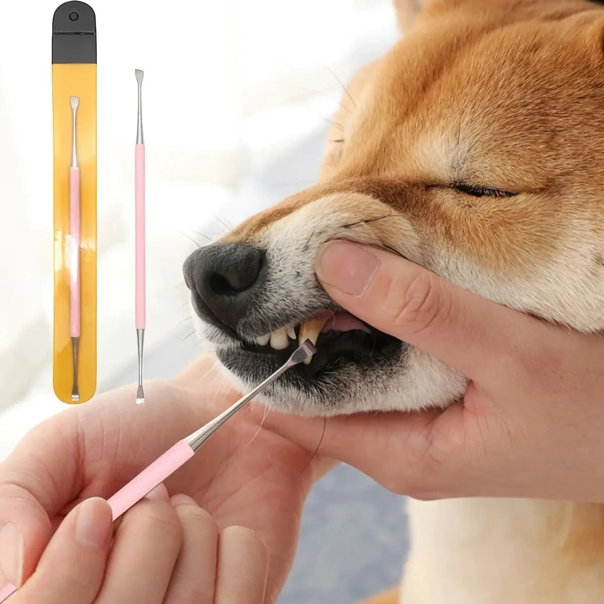 One Piece Pet Dog Tooth Cleaner Stainless Steel Double Headed Tartar Remover Scraper Kit For Pet Oral Care