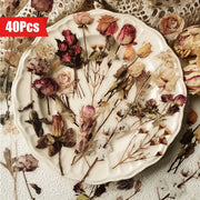 40 Pcs Rose Plant PET Stickers For Scrapbooking And Planner Decoration Flowers And Leaves