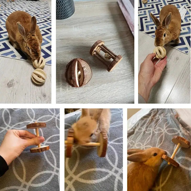 Small animal wooden play toys set by Simples Market, natural pine; includes dumbbells, unicycle wheel and braided ball