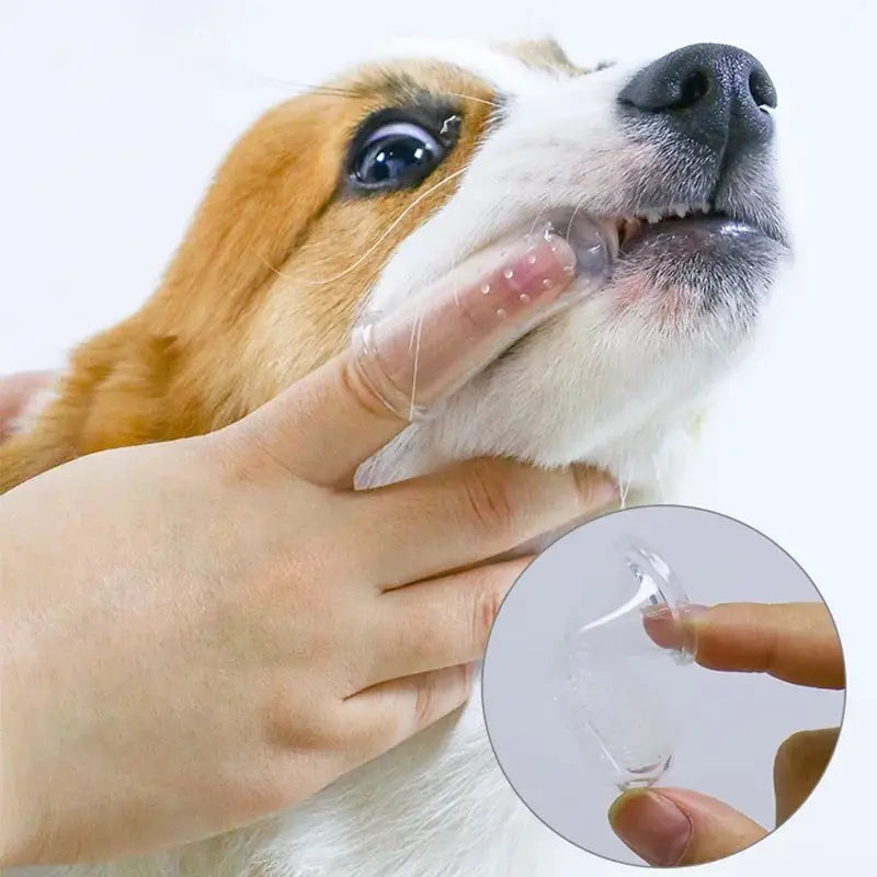 PetCare Super Soft Finger Toothbrush For Dogs And Cats With Gentle Silica Gel Cleans Teeth Gums Bad Breath And Tartar