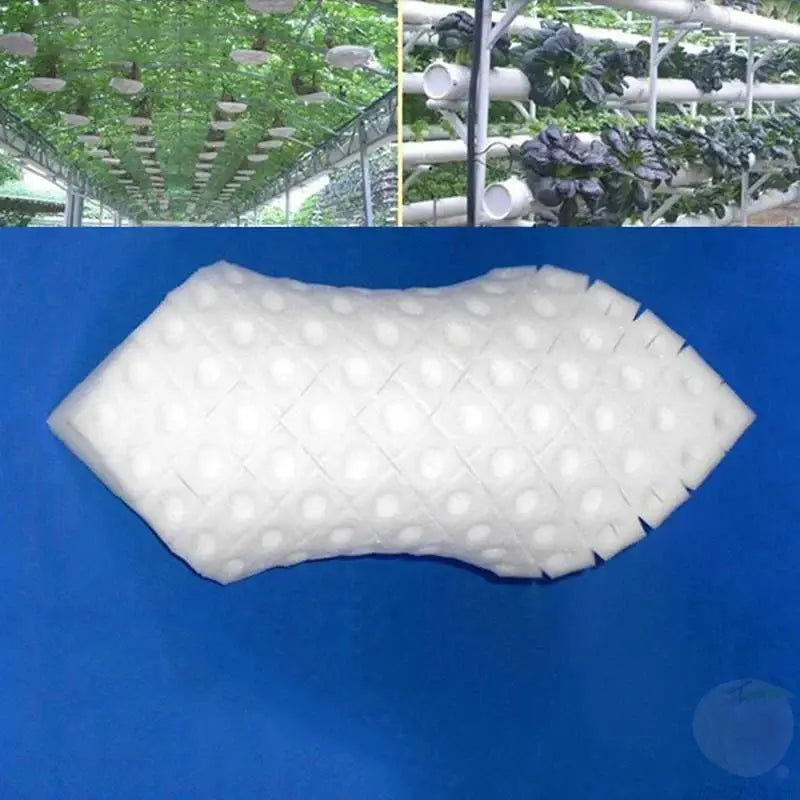 Hydroponic Seedling Sponge Plugs 100 Pcs Per Sheet For Soilless Cultivation Garden Nursery Pots Trays