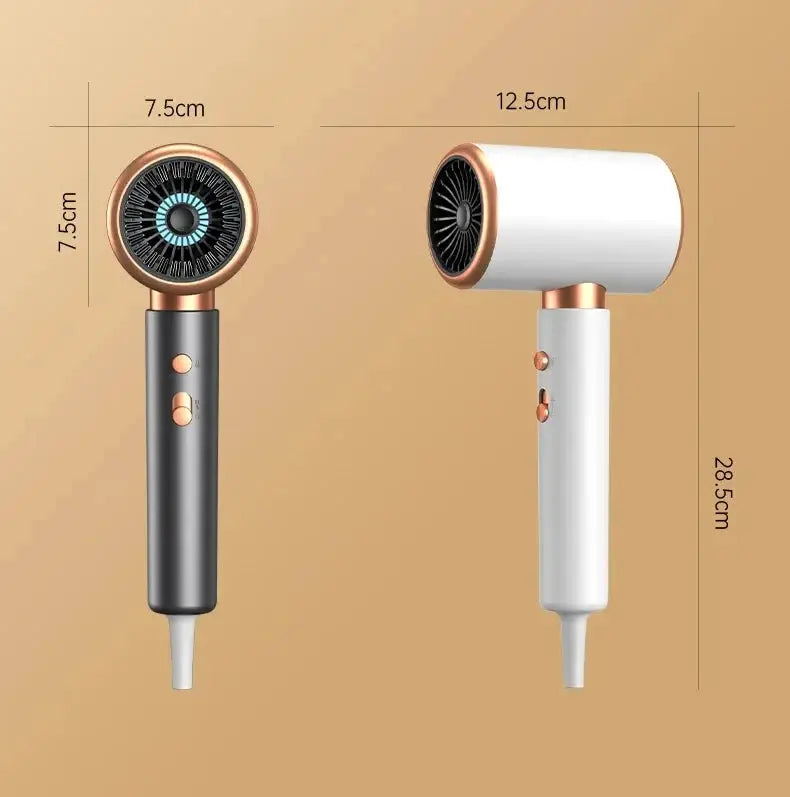 HOMEFISH 2000W salon hair dryer with rose-gold accents, black and white bodies and round brush attachment