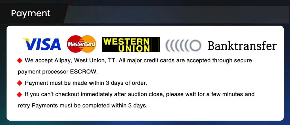 Payment options screen displaying Visa, MasterCard, Western Union and Bank Transfer logos.
