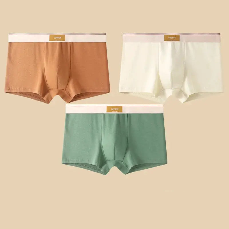 3-pack men's boxer shorts in brown, cream, and green; breathable cotton by Simples Market