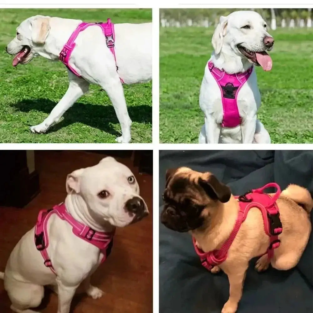 Reflective Adjustable Breathable Vest Chest Strap Harness For Small Medium Large Dogs Cats Puppies Pet Collar Accessory