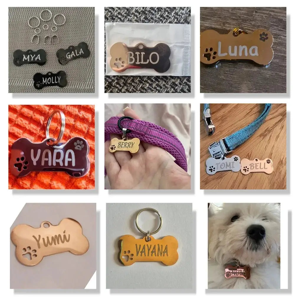 Personalized Pet ID Tag With Free Engraving Engraved Stainless Steel Bone Or Paw Shape Keychain For Cats And Dogs