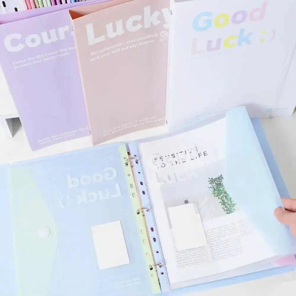 A4 transparent file folders with detachable data book; pastel purple, pink and white set of 3