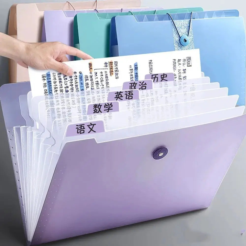 A4 expanding file folder with 8 grid sections, pastel purple front and multi-color back panels