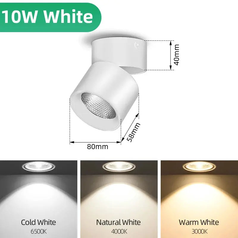 Spot LED downlight, 10W white, surface-mounted, dimmable with 3000K/4000K/6500K color temps