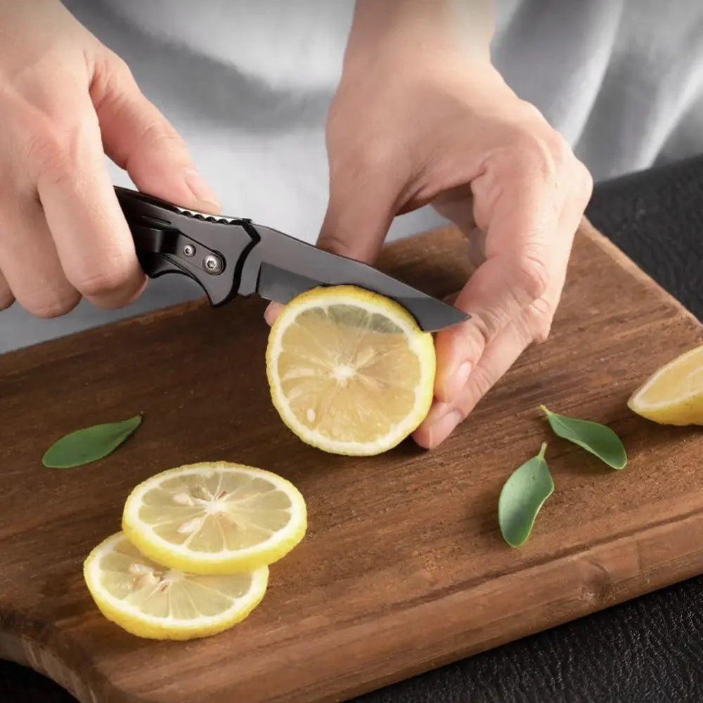 Stainless Steel Folding Fillet Knife For Fishing And Camping With Easy Carry PP Handle