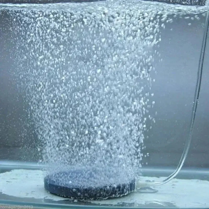 40mm Air Bubble Stone Aquarium Aerator For Pond Pumps Bubble Disk Oxygen Plate Hydroponic Oxygenation