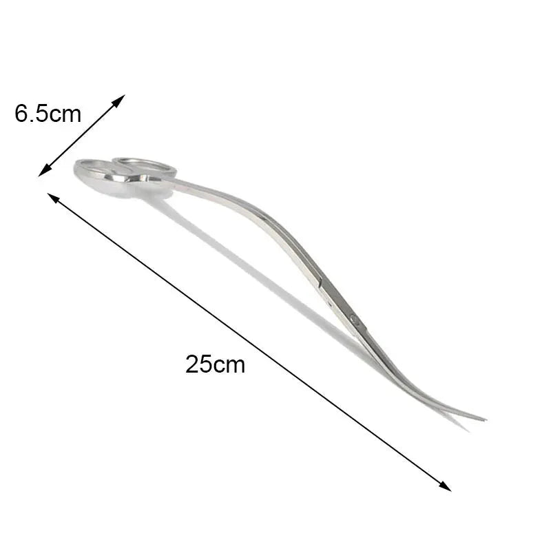 Findixpet Aquarium Scissor Tools Set Stainless Steel Tweezers Plant Wave Scissors Cleaning Accessories Storage Holder