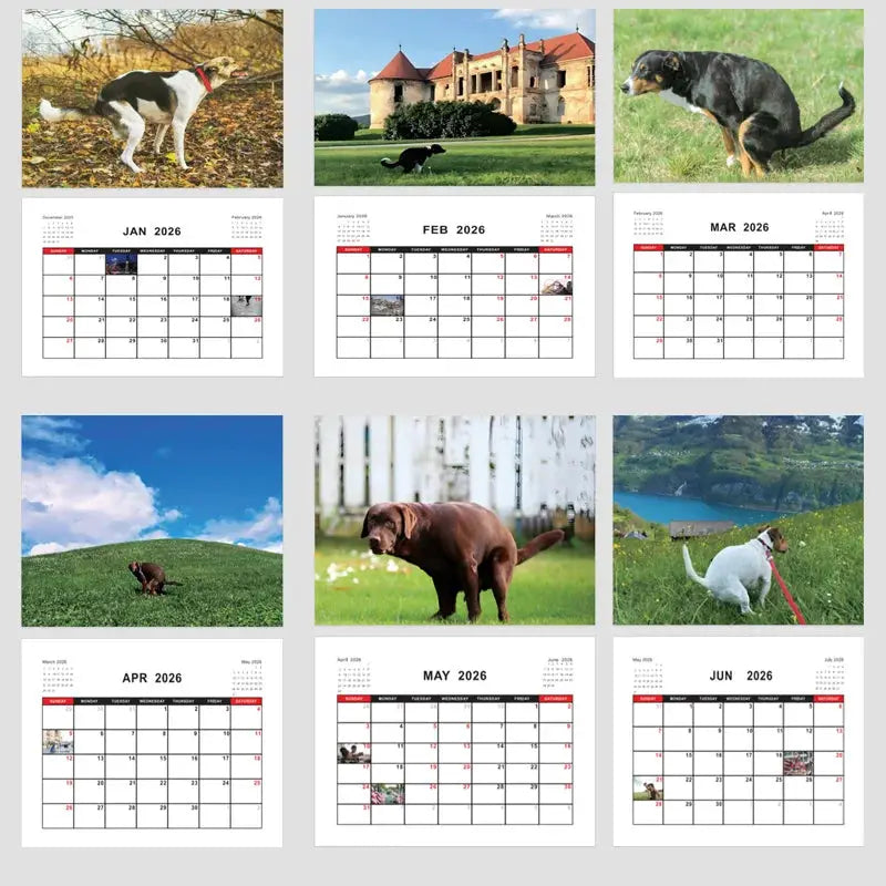 Simples Market 2026 dog wall calendar with nine dog photos and monthly pages Jan–Jun 2026