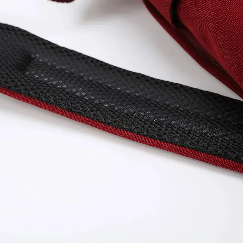Schoolbag strap close-up: red backpack strap with black mesh padding
