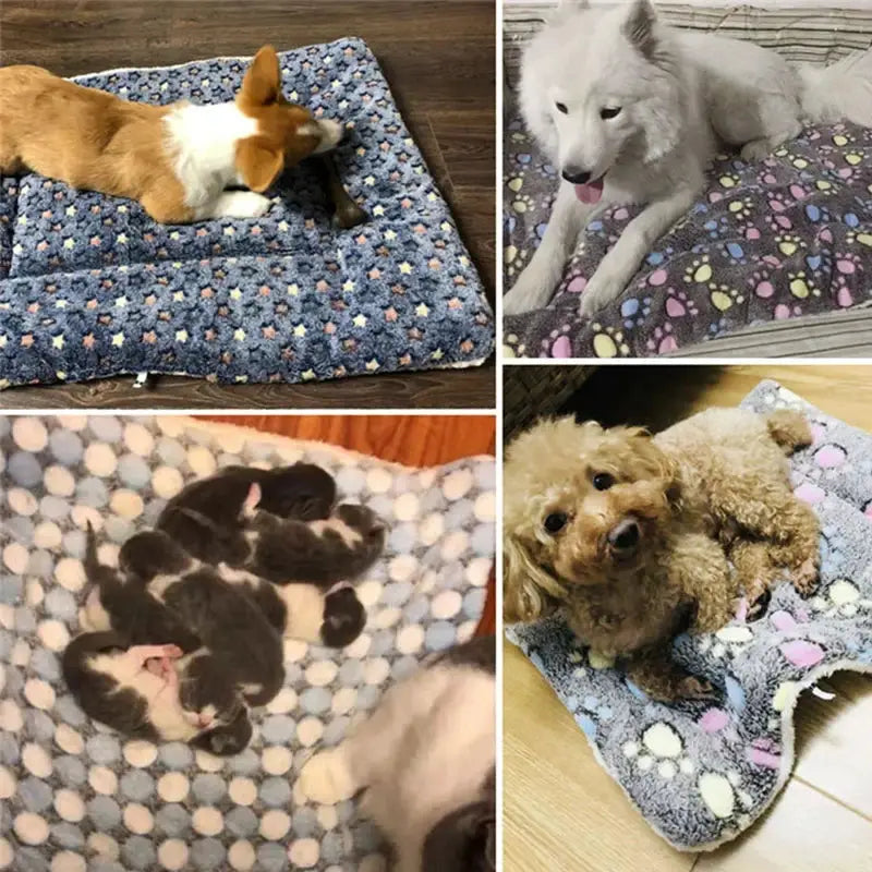 Flannel Pet Sleeping Mat Dog Bed Cat Bed Cushion For Small To Large Dogs Winter Warmth And Comfort