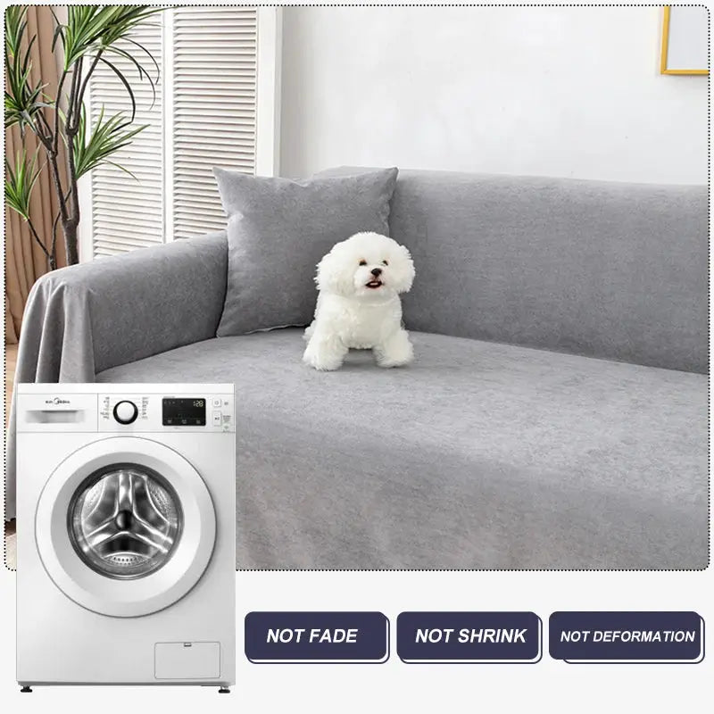 Simples Market waterproof gray sofa cover on a living room sofa with a small white dog