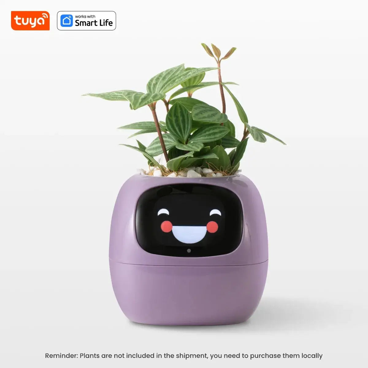 Tuya Gen 1 Ivy Smart Planter With 49 Rich Expressions, 7 Smart Sensors, AI Chips For Easy And Fun Plant Care