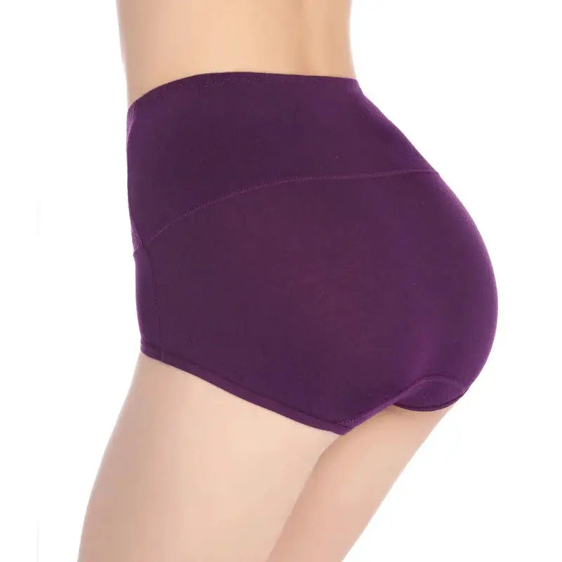 Plus-size purple high-waist cotton panties, back view