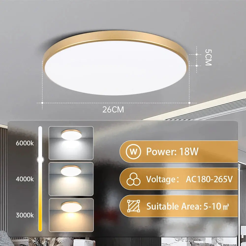 Golden LED ceiling lamp by Simples Market, round 26cm dustproof panel, 18W, AC180–265V