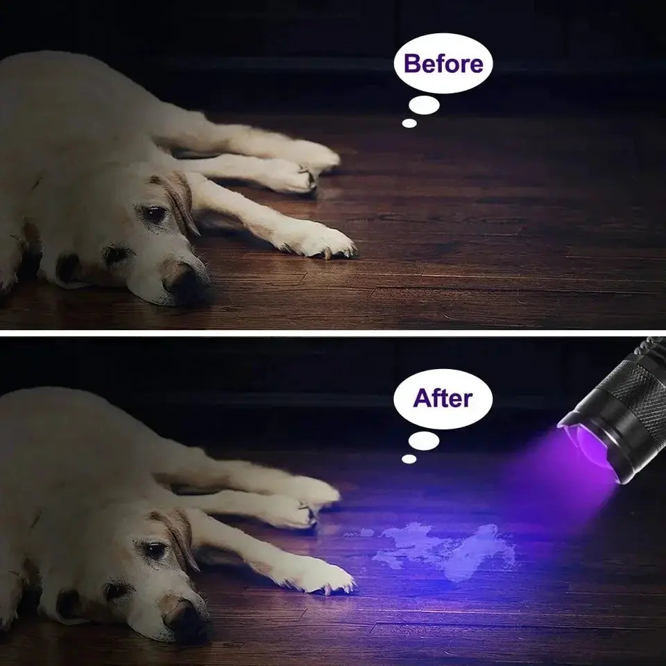 Dual Wavelength UV Flashlight 365Nm 395Nm Portable Mini Torch Zoomable Violet Light Pet Urine Scorpion Detector