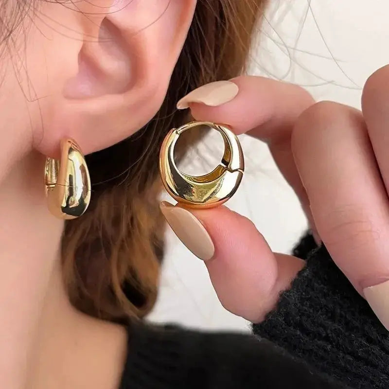 Stainless Steel Chunky Hoop Earrings for Women and Girls Round Circle Punk Jewelry Statement Earrings