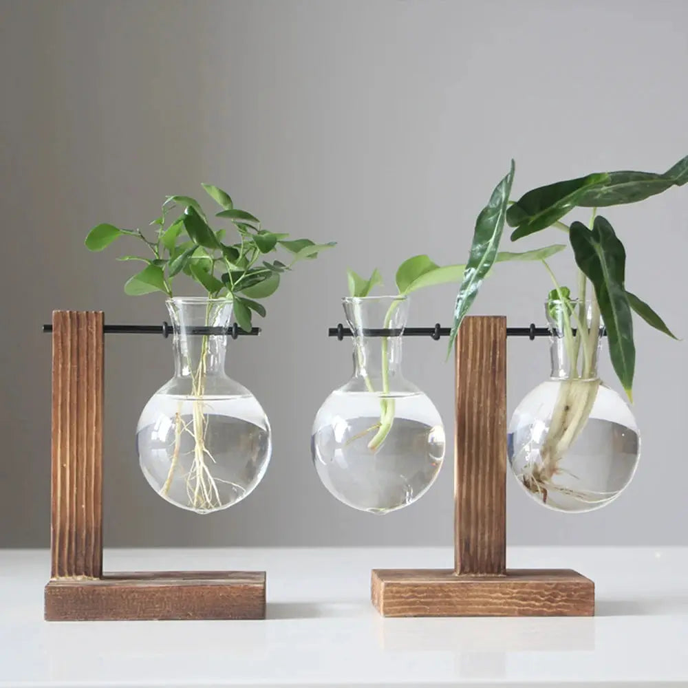Three glass bulb planters on wooden stands for desktop hydroponic plant display