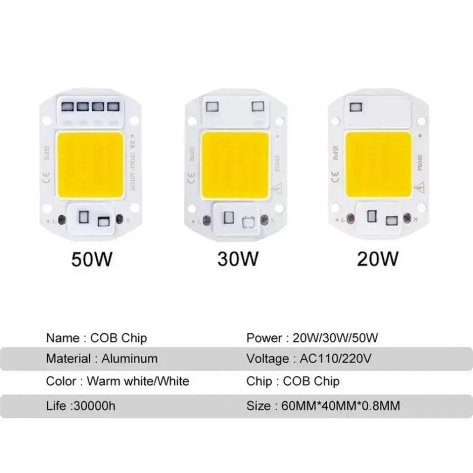 F6040 COB LED Module 20W 30W 50W AC 220V Outdoor Spotlight Garden Lighting Bead Lamp
