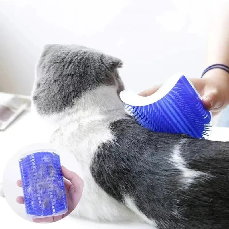 Cat grooming tool set with blue curved massage brush and blue self-cleaning comb for pet hair removal