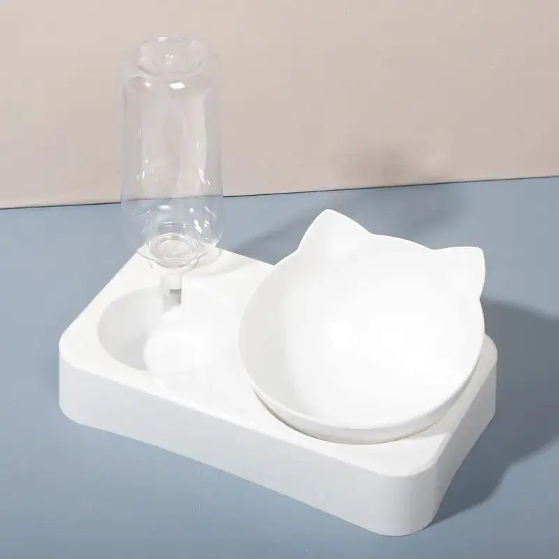 15 Degree Tilt Pet Bowl With Cervical Vertebrae Protection And Automatic Drinking Feeder Double Bowl For Dogs