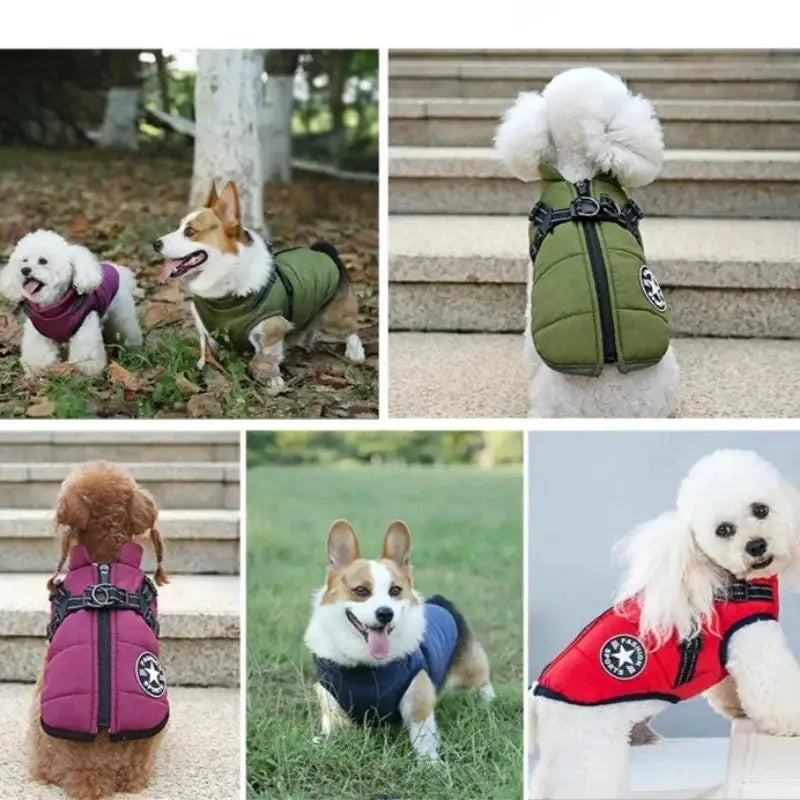 Six dog jackets with harnesses by Simples Market; waterproof coats in green, purple, pink, navy, red