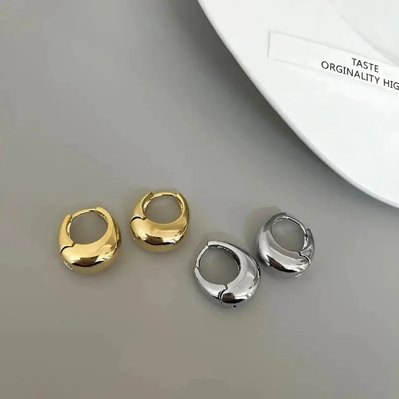 Stainless Steel Chunky Hoop Earrings for Women and Girls Round Circle Punk Jewelry Statement Earrings